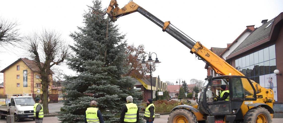 Świąteczna choinka pojawiła się na placu Ostrowskiego 