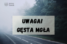 Uwaga! Gęsta młga